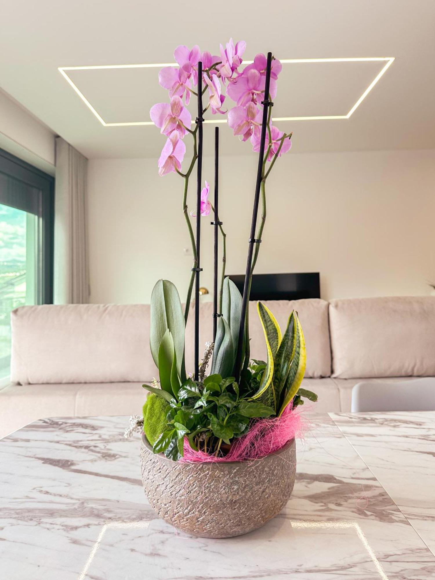 Flora Guest House Marco de Canavezes Esterno foto